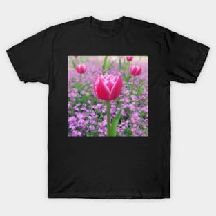 Red And White Petals Tulip T-Shirt